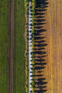 High angle view of agricultural field