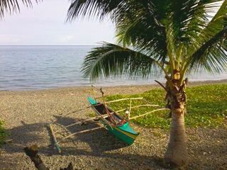 Palm trees on beach