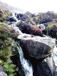 Close-up of rocks by river against clear sky