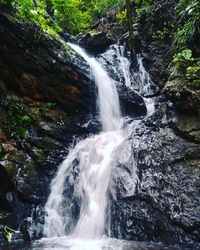 Low angle view of waterfall in forest