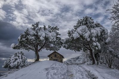 Trees on snow covered field against sky