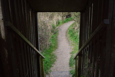 Road amidst plants seen through railing