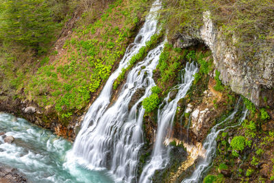 Scenic view of waterfall in forest