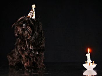 Lit candles against black background