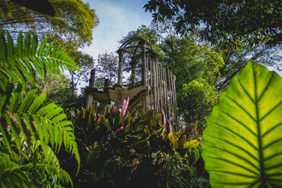 Low angle view of plants against sky