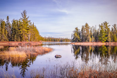 Scenic view of lake in forest against sky