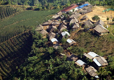 High angle view of trees and houses on field