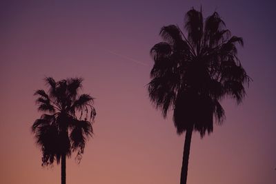 Low angle view of palm tree against sky