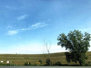 Trees on field against blue sky