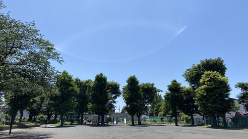 Low angle view of trees by road against clear blue sky