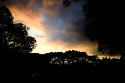 Silhouette trees against sky during sunset