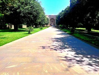 Narrow walkway along trees