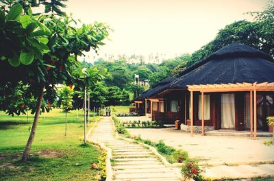 Narrow walkway along trees