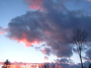 Low angle view of silhouette trees against sky