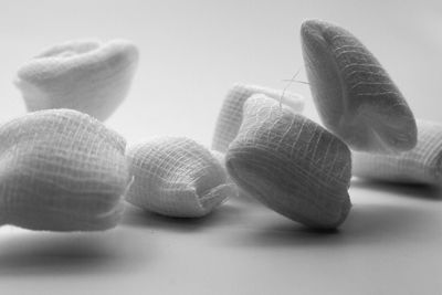 Close-up of shells on table