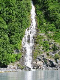 Scenic view of waterfall in forest