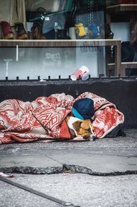 View of a dog sleeping on bed