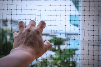 Close-up of hand holding fence