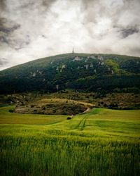 Scenic view of agricultural field against sky