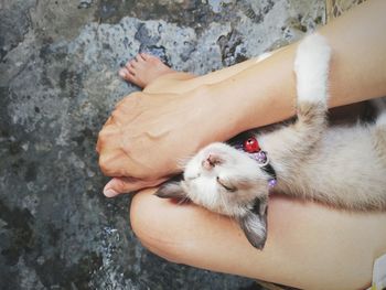 High angle view of baby hand on person