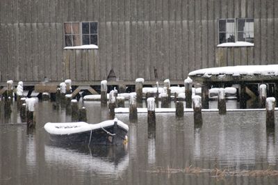View of birds on frozen water