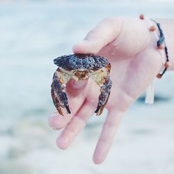 Close-up of cropped hand holding object