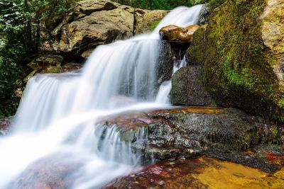 View of waterfall in forest