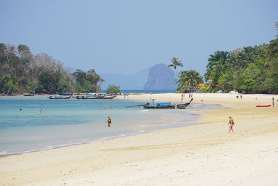 Group of people on beach