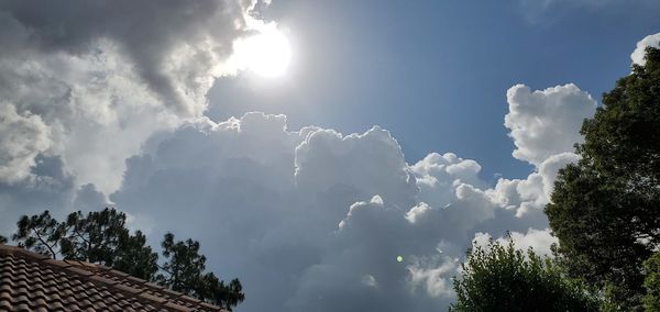 Low angle view of sunlight streaming through trees against sky