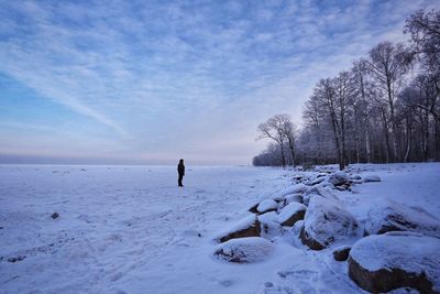 Bare trees on snow covered landscape