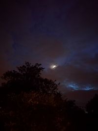 Low angle view of silhouette trees against sky at night