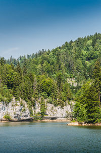 Scenic view of lake by trees against sky