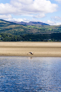 Scenic view of lake against mountain range