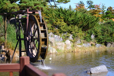 Ferris wheel by lake