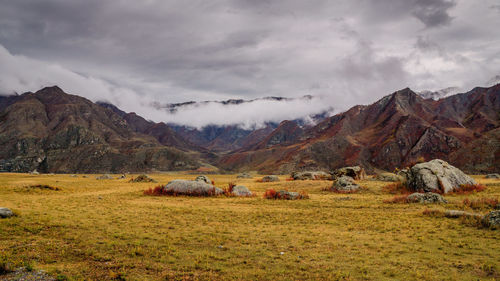 Scenic view of field against sky