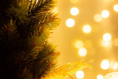 Close-up of illuminated christmas tree