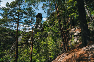 Rock with climber silhouette in famous bastei rock formation. national park saxon switzerland, 