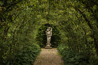 Empty walkway leading towards statue amidst plants at park