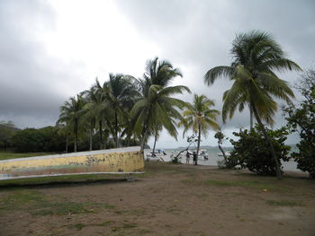 Boat moored at beach against sky