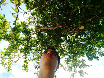 Low section of man hanging on tree against sky
