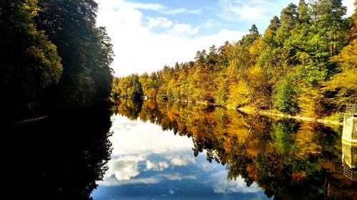 Reflection of trees in lake against sky