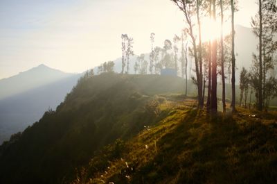 Scenic view of landscape against sky during sunset