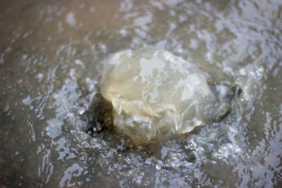 Close-up high angle view of water