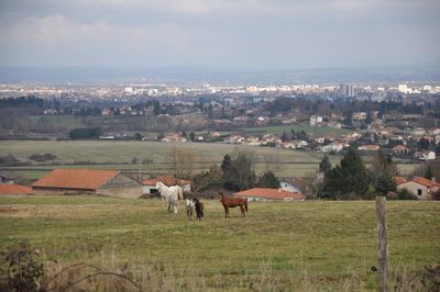 High angle view of townscape against sky with horse