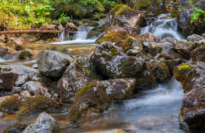 Stream flowing through rocks in forest