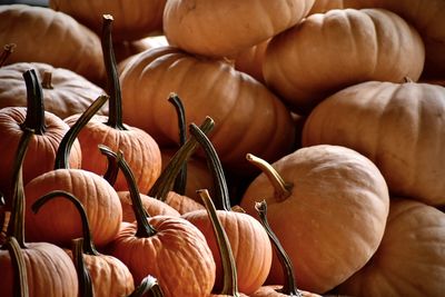 Full frame shot of pumpkins for sale at market