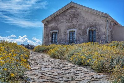 Plants growing on old building by field against sky
