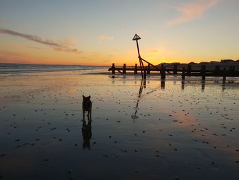 Silhouette man standing on beach against sky during sunset