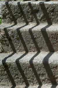Shadow of tree on the wall