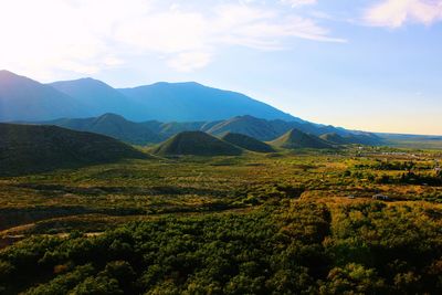 Scenic view of vineyard against sky